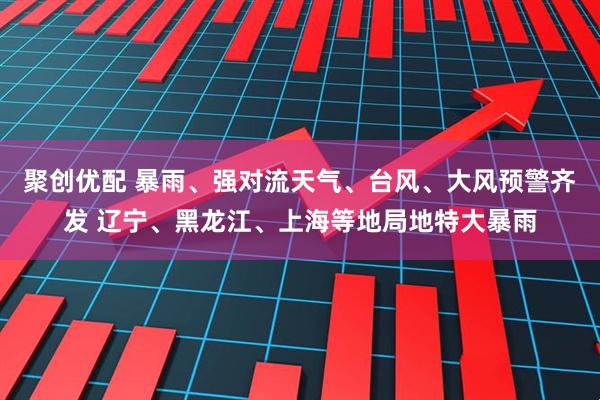 聚创优配 暴雨、强对流天气、台风、大风预警齐发 辽宁、黑龙江、上海等地局地特大暴雨