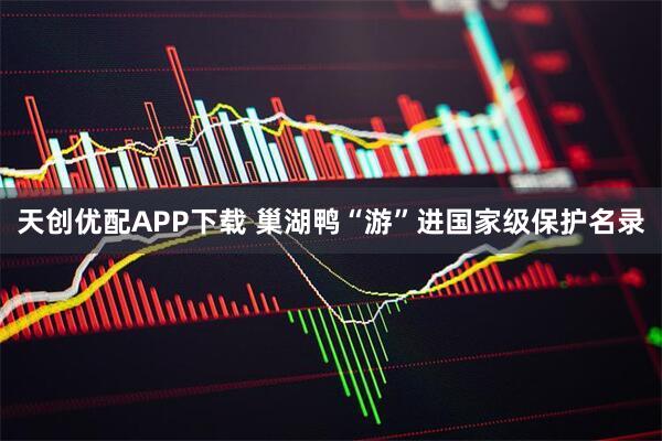 天创优配APP下载 巢湖鸭“游”进国家级保护名录